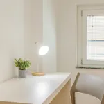 Mutina Domus - Comfort And Elegance In The Center Modena